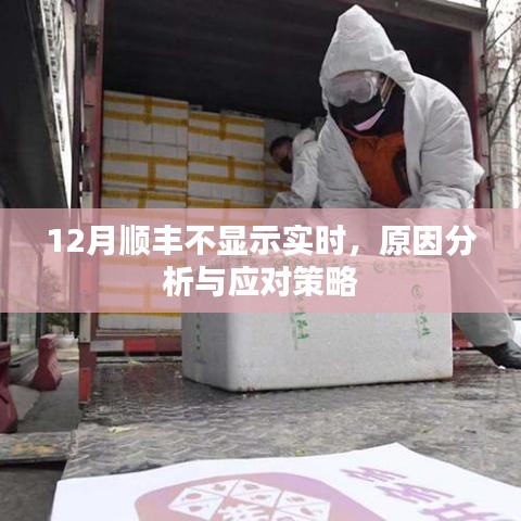 順豐快遞實(shí)時(shí)信息缺失，原因解析與應(yīng)對(duì)方案