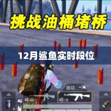 鯊魚(yú)實(shí)時(shí)段位更新，揭秘12月排行榜，符合字?jǐn)?shù)要求，簡(jiǎn)潔明了，能夠準(zhǔn)確概括您提供的內(nèi)容，有利于在百度上被用戶搜索到。