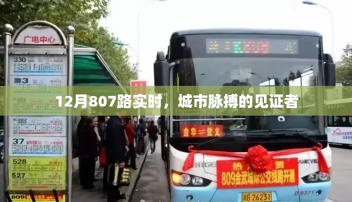 城市脈搏見證者，12月807路實(shí)時(shí)動(dòng)態(tài)