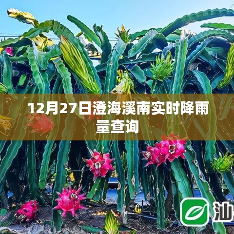澄海溪南實(shí)時(shí)降雨量查詢（最新更新）