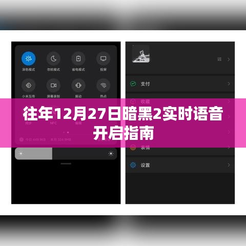 暗黑2實(shí)時(shí)語(yǔ)音開啟指南，往年12月27日操作指南