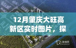 肇慶大旺高新區(qū)活力與創(chuàng)新，最新實(shí)時(shí)圖片分享