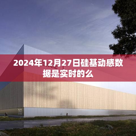 硅基動感數(shù)據(jù)實(shí)時(shí)性探討，2024年12月27日數(shù)據(jù)準(zhǔn)確性分析