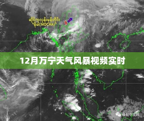 萬寧風(fēng)暴來襲，最新天氣實時視頻