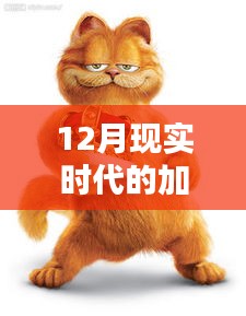 現(xiàn)實(shí)版加菲貓圖片集，溫馨可愛瞬間捕捉