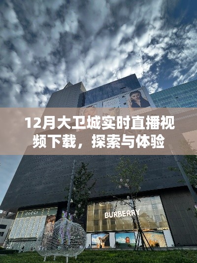 大衛(wèi)城12月實(shí)時(shí)直播視頻下載，探索與體驗(yàn)之旅