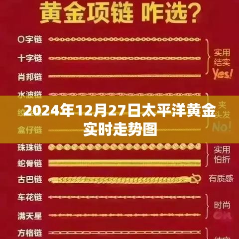 2024年12月27日太平洋黃金行情走勢分析