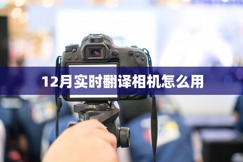 風(fēng)流瀟灑 第4頁