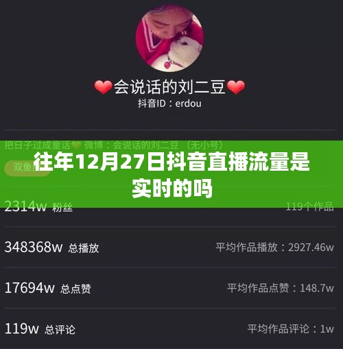 抖音直播流量歷年數(shù)據(jù)解析，直播流量實(shí)時性探討