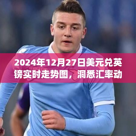 2024年美元兌英鎊匯率走勢圖，洞悉市場趨勢