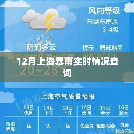 上海暴雨實時更新，最新天氣動態(tài)查詢