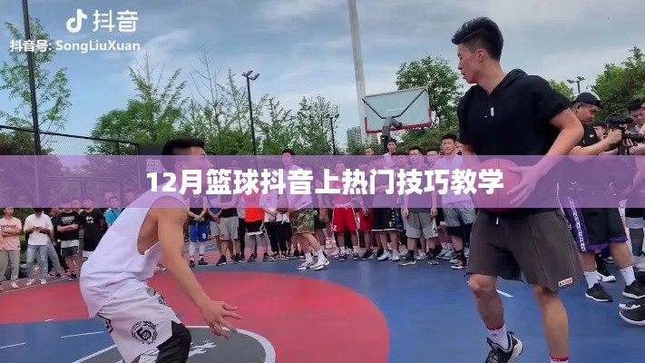 籃球抖音熱門技巧教學(xué)，12月實(shí)戰(zhàn)攻略