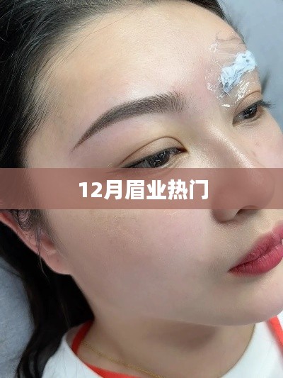 12月眉業(yè)熱點(diǎn)大盤點(diǎn)