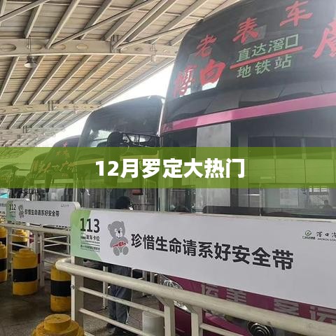 羅定熱點(diǎn)新聞，揭秘十二月大熱門事件