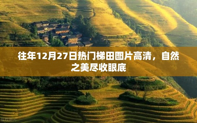 往年12月27日梯田美景高清圖，自然韻味盡收眼底
