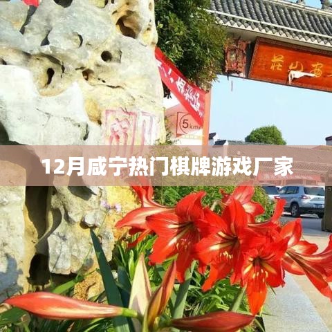 咸寧十二月熱門(mén)棋牌游戲廠家揭秘