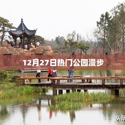 12月27日公園漫步，盡享自然之美