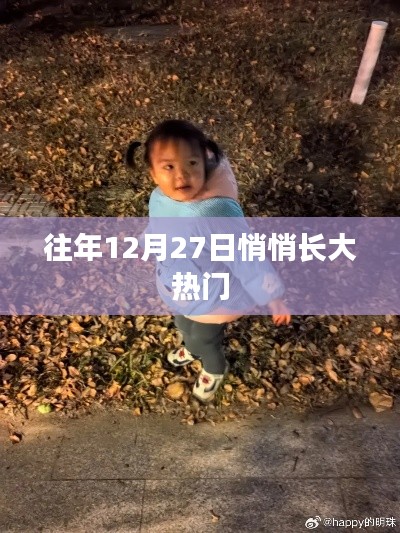 年終倒數(shù)時(shí)刻，揭秘十二月二十七日的熱門(mén)秘密