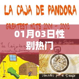 性別話題熱議，最新動態(tài)一網(wǎng)打盡（01月03日）