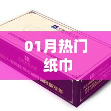『精選推薦』一月份熱門紙巾品牌榜單』