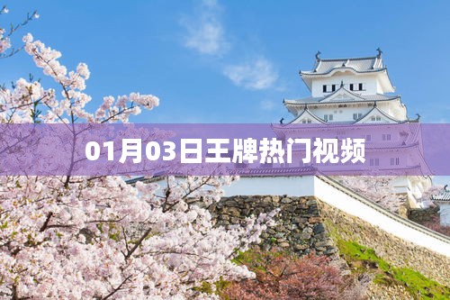 王牌熱門視頻盤點(diǎn)，最新熱門視頻精選