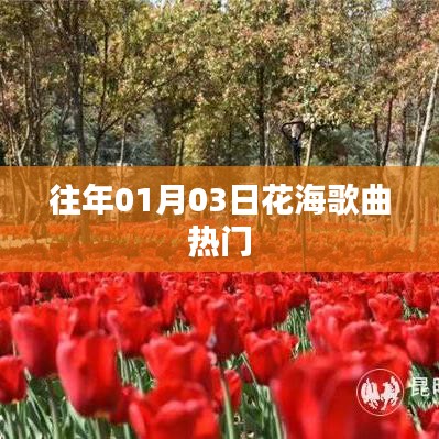 『花海歌曲熱爆，歷年一月初最受歡迎的旋律』
