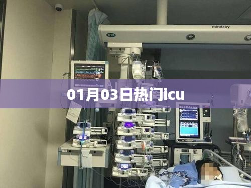 熱門ICU動態(tài)速遞，最新資訊一網打盡（01月03日）