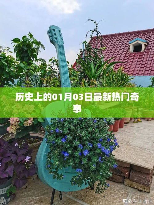 歷史奇聞揭秘，一月三日最新熱門事件回顧