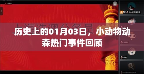 歷史上的小動(dòng)物動(dòng)森，一月三日熱門事件回顧