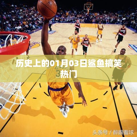 歷史上的鯊魚搞笑瞬間，一月三日歡樂回顧