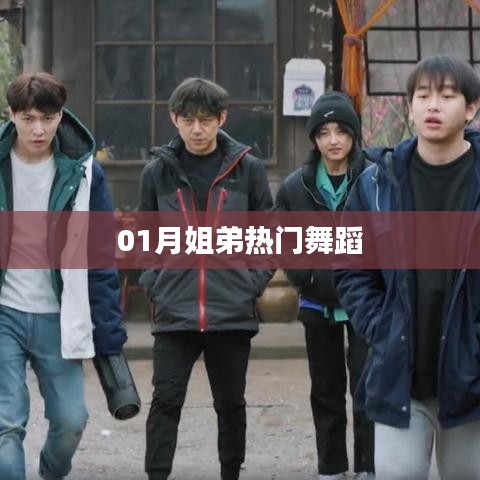 熱門舞蹈，一月姐弟熱舞盤點