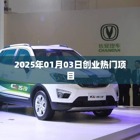 2025年創(chuàng)業(yè)熱門項目揭秘，把握未來商機(jī)
