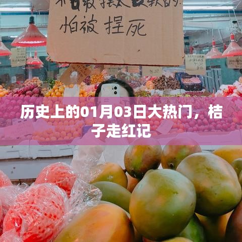 歷史大熱門，桔子走紅記，揭秘背后的故事