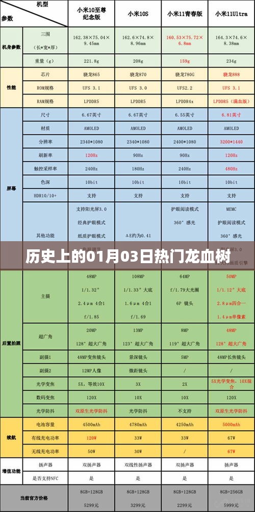 龍血樹的歷史變遷，一月三日的重要時刻回顧