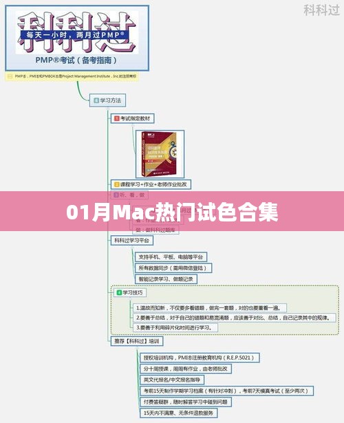 「獨家盤點」Mac熱門試色合集，一月精選不容錯過