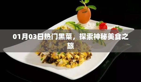 熱門黑菜探索，神秘美食之旅（日期標注）