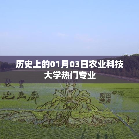 歷史上的農(nóng)業(yè)大學(xué)熱門專業(yè)，聚焦一月三日的發(fā)展
