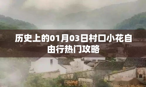 村口小花自由行，一月三日熱門攻略回顧