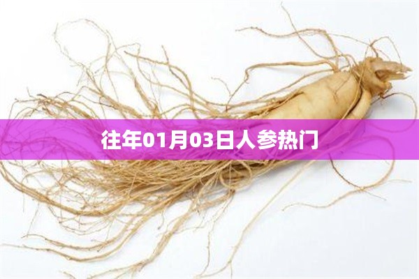 人參熱門事件回顧，歷年一月初三矚目時(shí)刻
