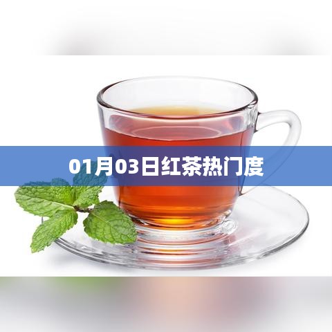 紅茶熱門度揭秘，最新趨勢分析（日期，01月03日）