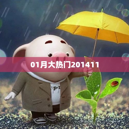 大熱門事件回顧，揭秘2014年1月熱點(diǎn)話題