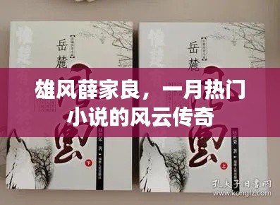 雄風(fēng)薛家良，風(fēng)云傳奇小說火爆一月