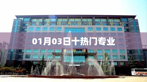 最新熱門專業(yè)榜單TOP10，01月03日更新