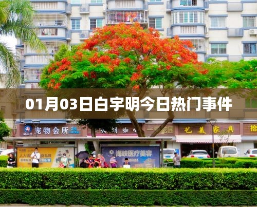 白宇明最新熱門事件曝光，關(guān)注細(xì)節(jié)解析