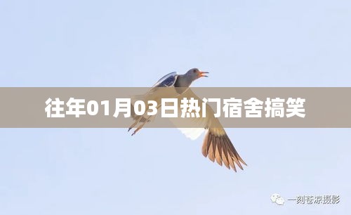 宿舍歡樂(lè)瞬間，歷年一月三日爆笑回顧