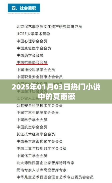 夏雨薇，2025年超人氣小說主角，魅力非凡