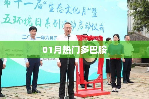 熱門多巴胺，揭秘一月新動(dòng)向