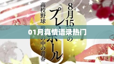精選真情語(yǔ)錄，一月溫暖話語(yǔ)