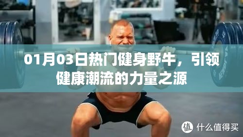 熱門健身野牛，引領(lǐng)健康潮流的力量之源