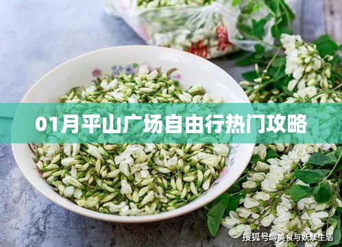 平山廣場自由行指南，熱門攻略一網(wǎng)打盡